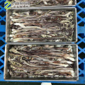 Frozen Tentacles Of Squid Frozen Squid Tentacles For Sale Fresh Frozen Squid Tentacles For Sale